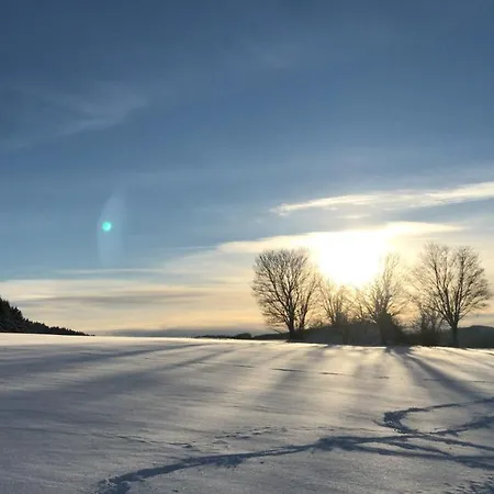 Steigerhaus Sauerland Бествиг